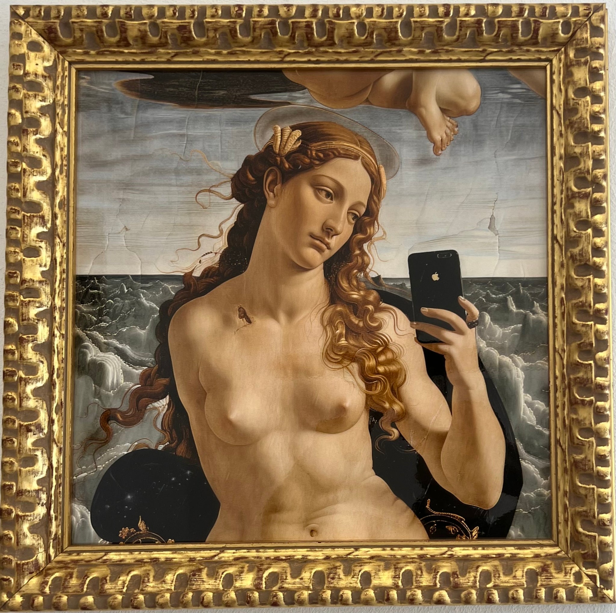 ArtPhone POLAROID Venus di Meritte